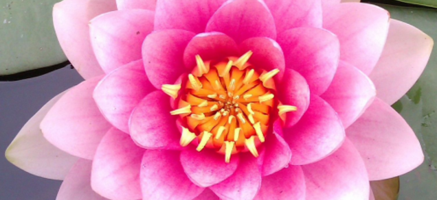 Innertrans - praktijk voor Primal Rebirth Heling